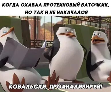 Kowalski липецк