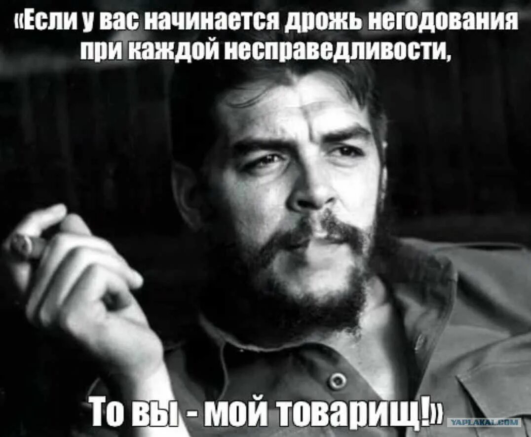 Значение слова испытывать дрожь при сильном волнении. Эрнесто че Гевара устал Отдохни. Если у вас начинается дрожь негодования при каждой. Если у вас начинается дрожь негодования при каждой несправедливости. Устал Отдохни но тогда ты никогда не будешь первым.