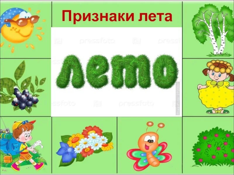 Признаки года. Лето признаки лета. Признаки лета для детей. Признаки лета для детей в детском саду. Признакилета для л Тей.
