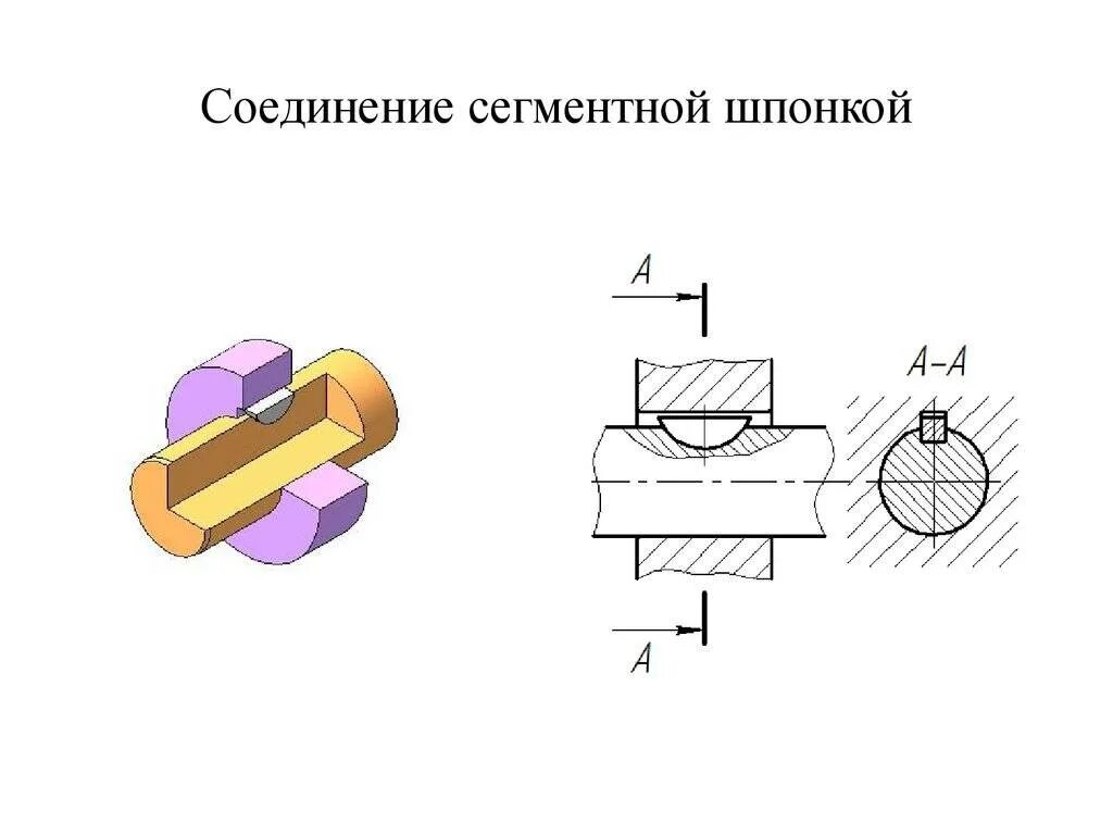 Соединение h и p. Соединение сегментной шпонкой на чертеже. Шпоночное соединение сегментной шпонкой чертеж. Шпоночное соединение с сегментной шпонкой. Шпоночное соединение рис 225.