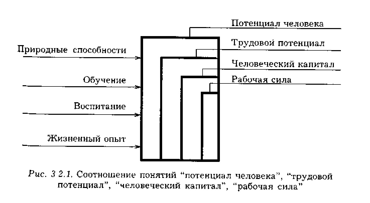 Человеческий потенциал человека. Человеческий потенциал и человеческий капитал соотношение понятий. Соотношение понятий трудовой потенциал и человеческий. Человеческий капитал и трудовой потенциал. Трудовой потенциал схема.