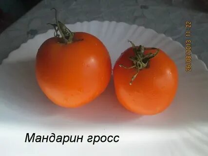 Апельсин мандарин помидор кочерга усадьба сапог ботинок