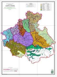 Лесничества республики алтай