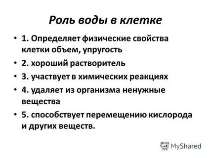 Какую роль играют простейшие в жизни человека