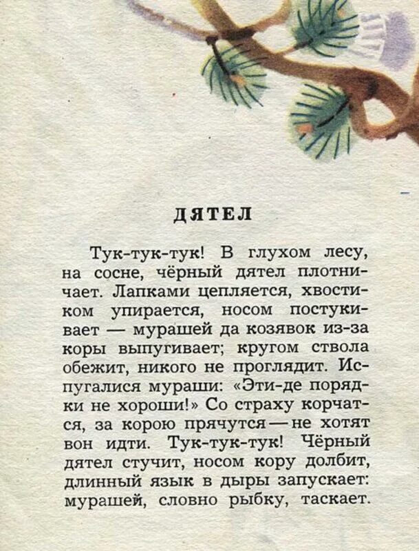 Лапками цепляется хвостиком упирается носом постукивает. Чтение Ушинский Ласточка. Рассказ Ласточка Ушинского.