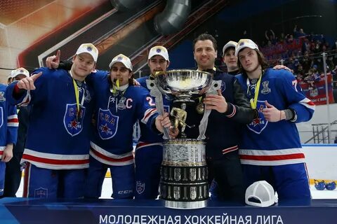 Кубок молодежной лиги