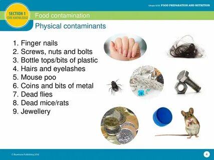 Contamination перевод