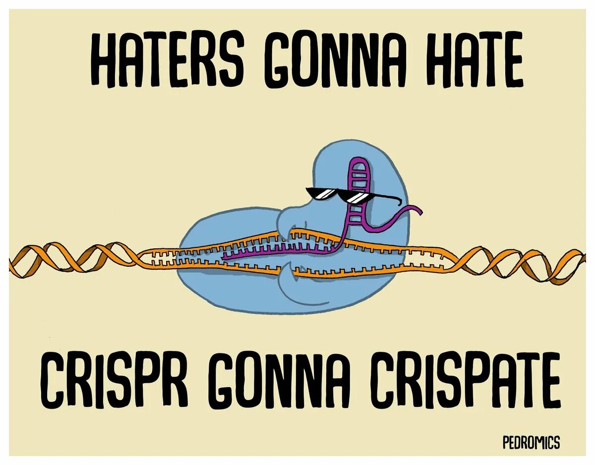 I rolling. CRISPR Мем. CRISPR CAS. CRISPR cas9 gif. CRISPR биология.