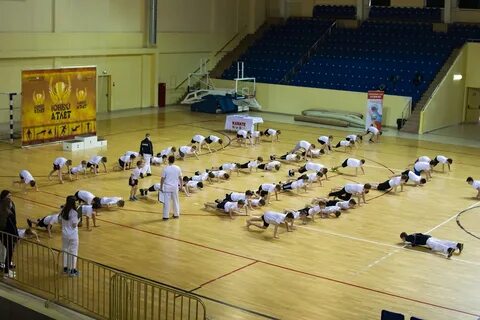 Вгл 2 спорт архив
