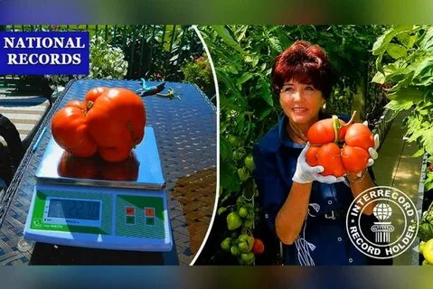 Сколько весит 2 помидора