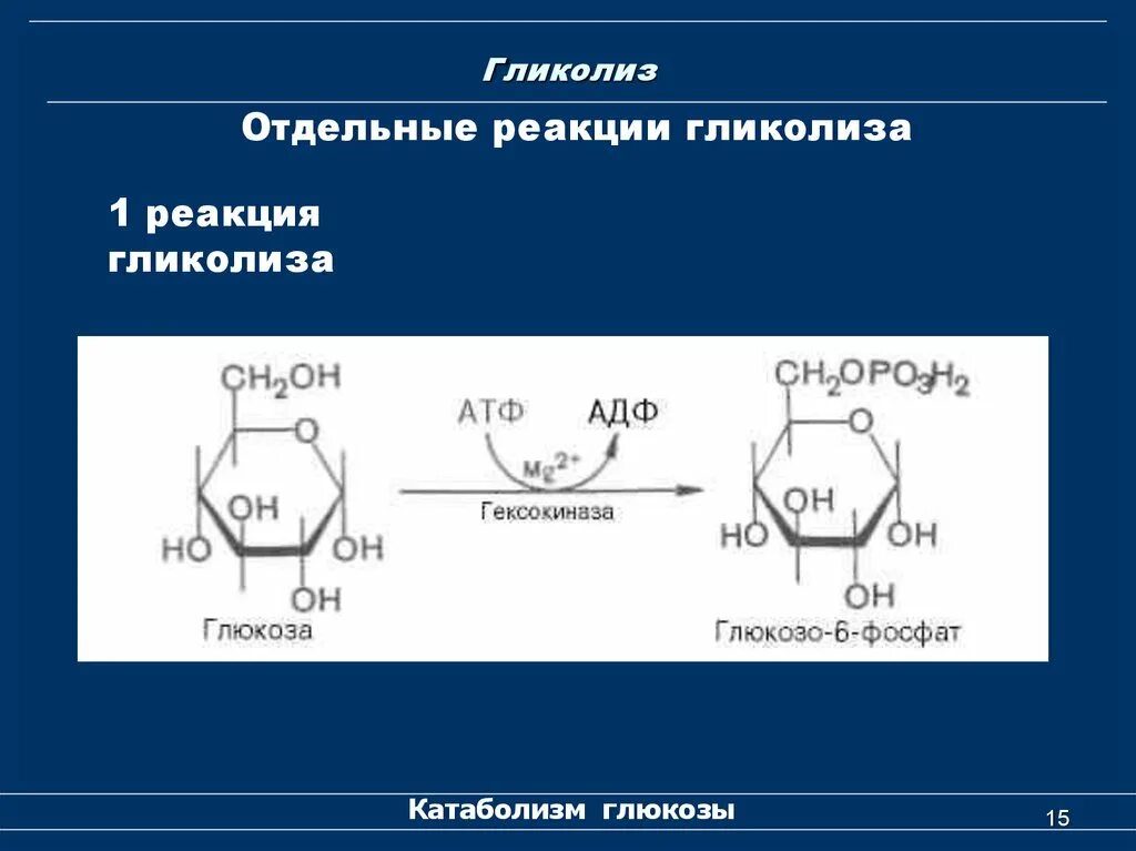 1 реакция гликолиза