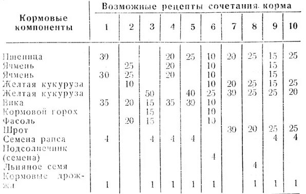 Рацион кормления голубей. Рацион питания голубей. Рацион питания голубей. Чем можно кормить голубя в домашних условиях. Что можно давать голубям.