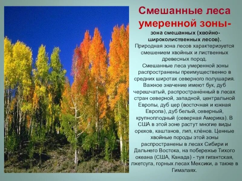 Население смешанных лесов народы