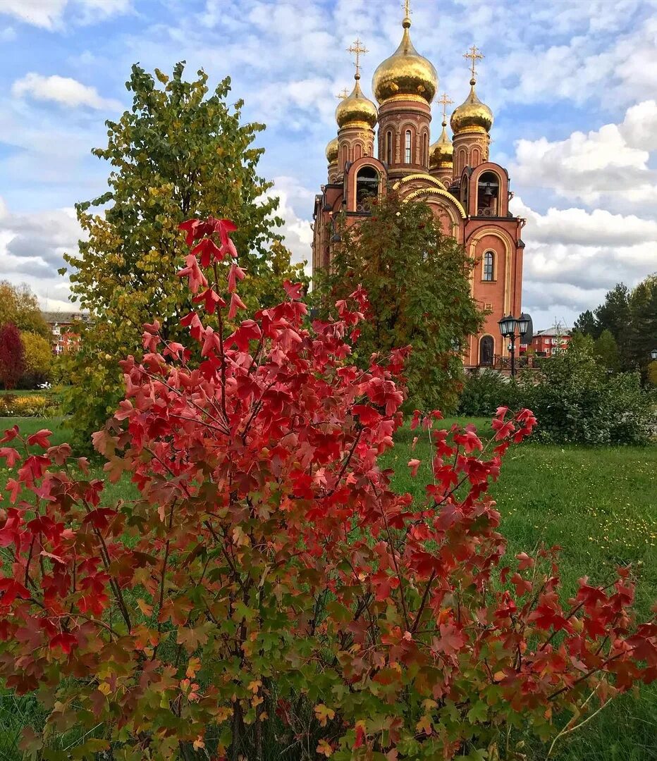 Погода осинники кемеровской на неделю. Город Осинники Кемеровская область. Природа города Осинники. Осинники Кемеровская область достопримечательности. Осинники Кемеровская область природа.