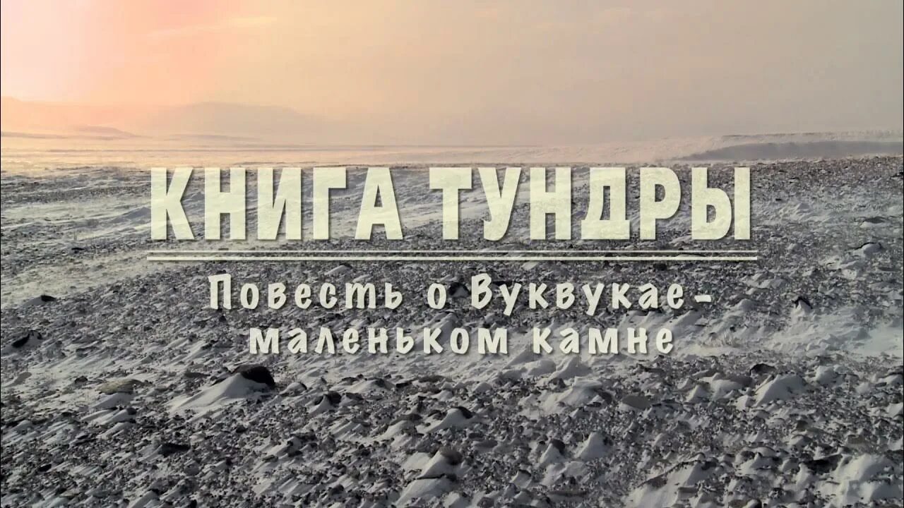 Долганские сказки. Книга тундры. Книга тундры. Книга борька в тундре. Тундра книги.