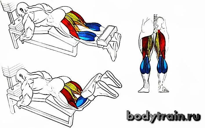 Разгибание ног в тренажере лежа на животе техника. Сгибание ног лежа в тренажере техника выполнения. Разгибание ног в тренажере лежа техника. Тренажер сгибание ног лежа на животе. Разгибание ног лежа