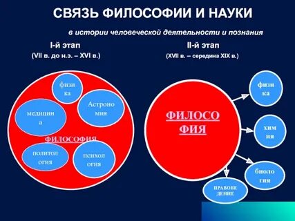 Как соотносятся философия и наука