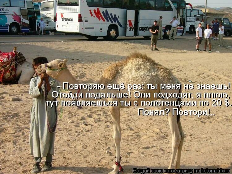 песню отойди подальше