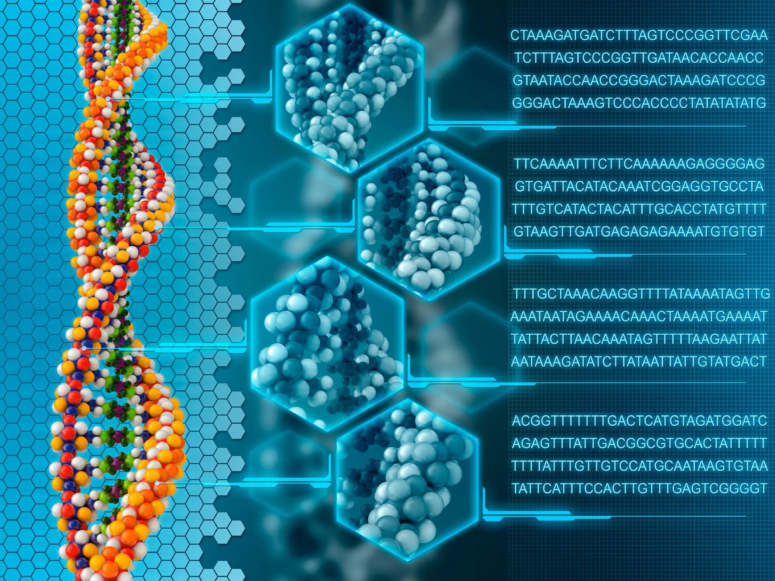 Геномика протеомика биоинформатика. ДНК. Молекула ДНК. Молекулярная биология и генетика.