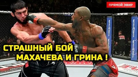 Поехавший бой