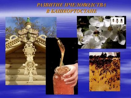 Экономика родного края башкортостан