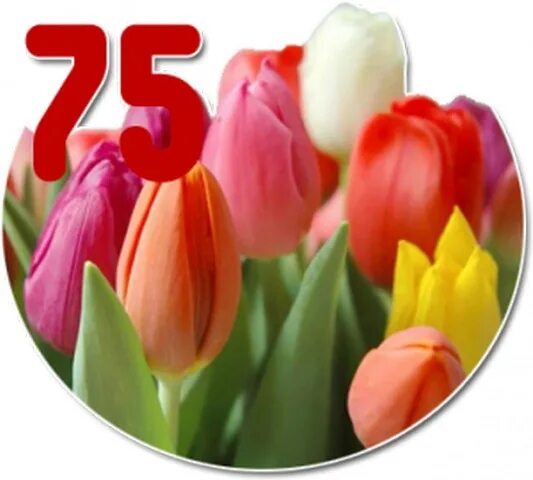 С днем рождения 75. Открытка с юбилеем! 75 лет. 75 лет цветы. Открытка с юбилеем 75 лет мужчине. Поздравление с юбилеем мужчине 75.