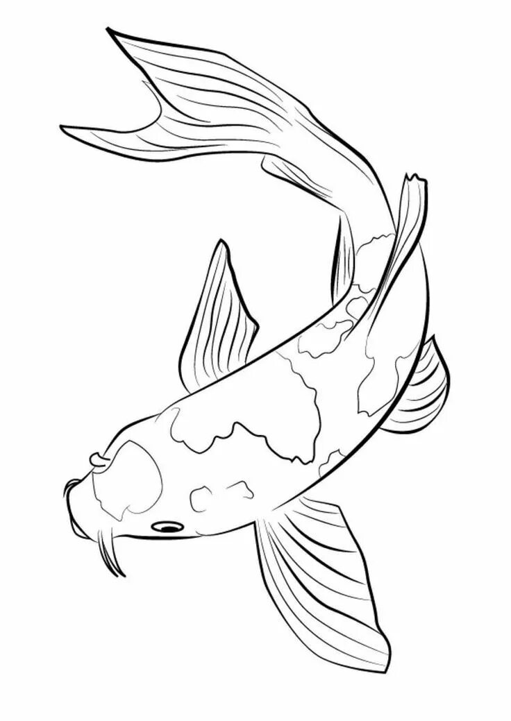 Писунок. Рыбка рисунок карандашом. Рисунки рыбок для срисовки. Рыбки для рисования срисовка. Рисунок рыбы для срисовки.