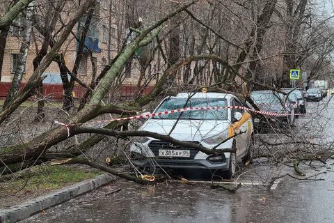 Порывы ветра в москве