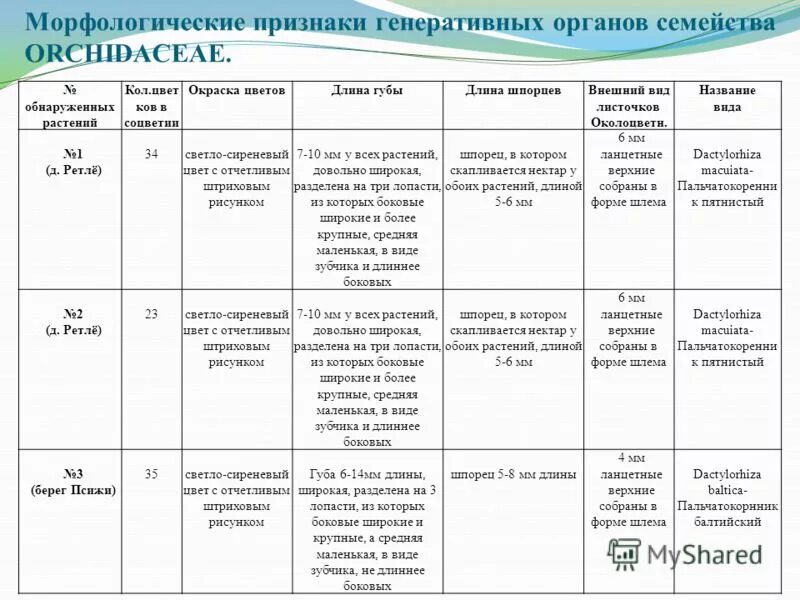 морфонологичесая характеристика. морфологическая характеристика длина. морфологическое описание человека. морфологическая характеристика цветка. морфологические признаки растений.