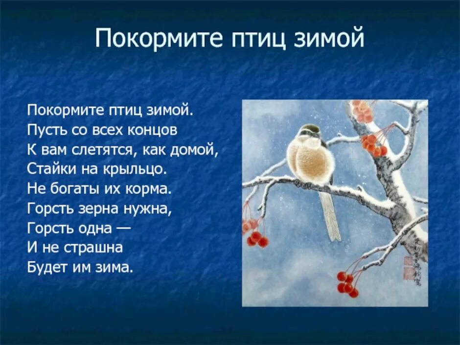 Берегите птиц презентация. Проект накорми птиц зимой. Покормите птиц зимой. Как живётся птицам зимой?. Предложение с птицами зимой.