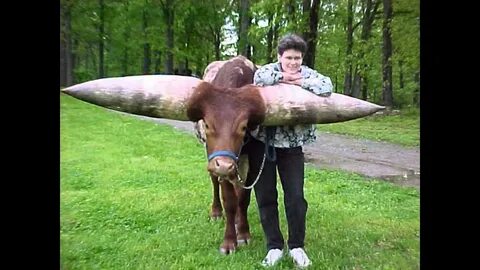 Большой хрен и маленькая