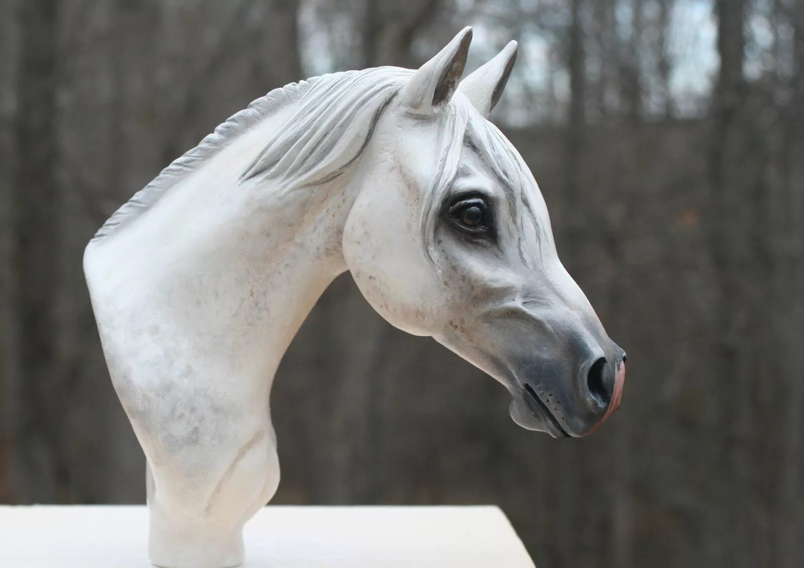 Голова лошади. Голова лошади в профиль. Морда белой лошади. Голова белого коня.