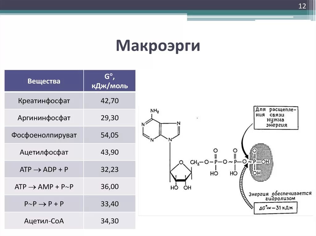 Макроэрги. Строение макроэргов таблица. Классификация макроэргических соединений биохимия. Макроэрги тиоэфиры. Строение и функции макроэргов.