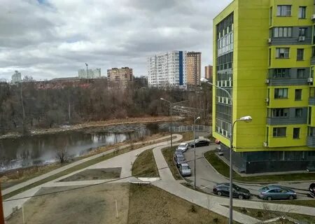 Лесной уголок