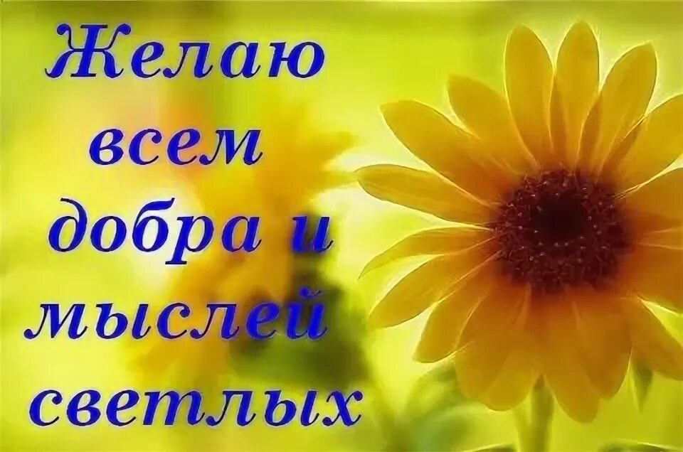 Только вам желаю всего доброго. Всем добра. желаю всем добра. пожелания всем добра и мыслей светлых. желаю всем добра и мыслей.