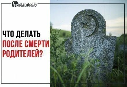 Бабье наследство