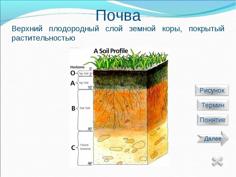 Верхние слои земли называют