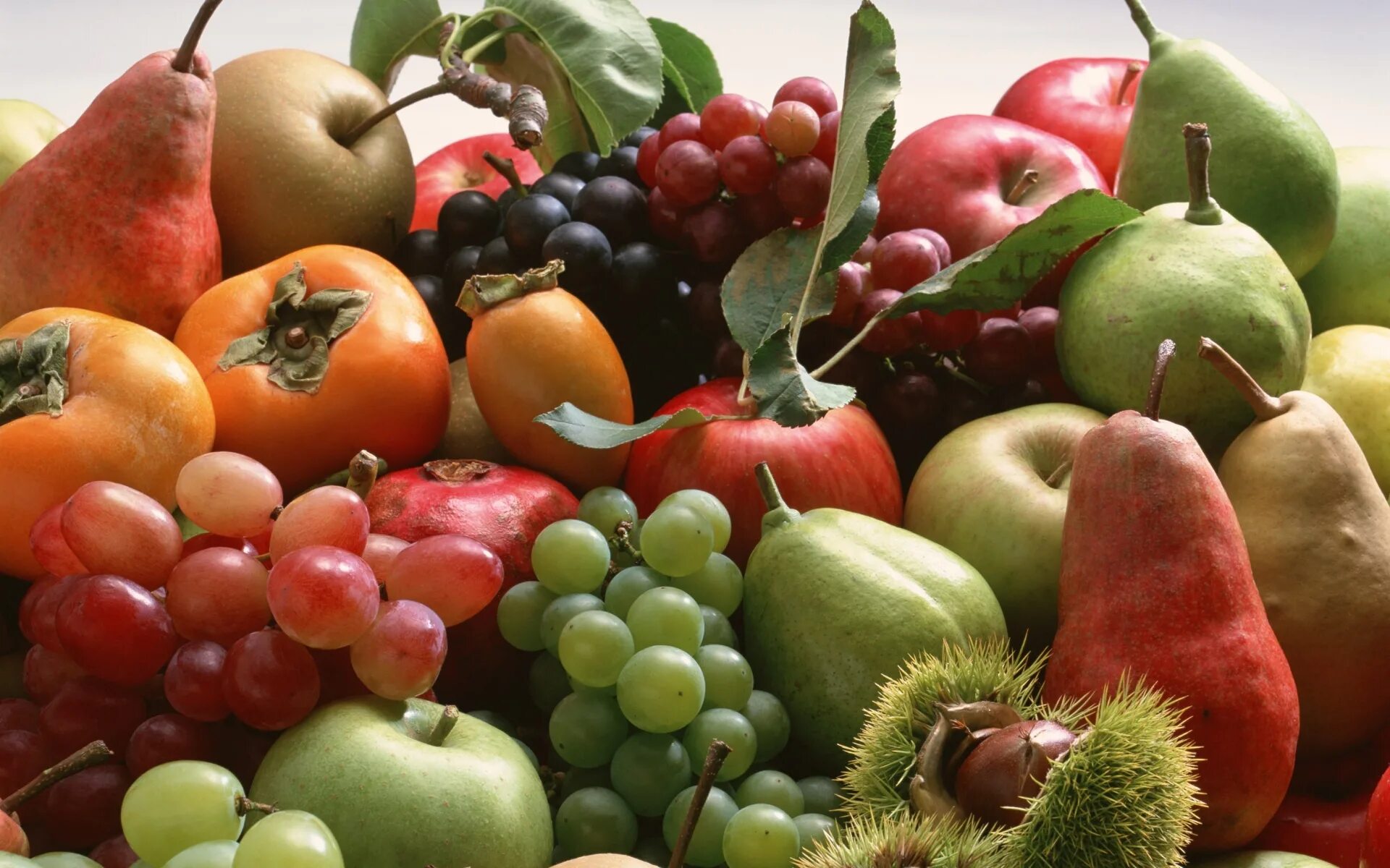 Яблоко фрукт или овощ. Фрукты. Овощи, фрукты, ягоды. Урожай фруктов. Осенние овощи и фрукты.