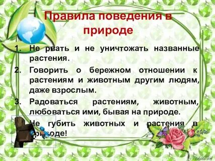 Нужно бережно относиться ко всем растениям