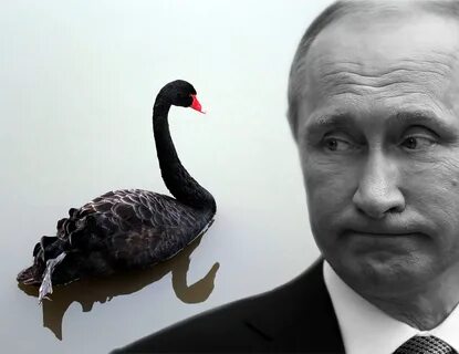 Винштейн 45
