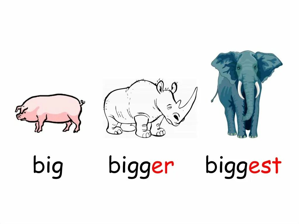 Big small animals. Comparatives картинки. Big bigger. Картинки на Comparatives с детьми. Big small картинки для детей.