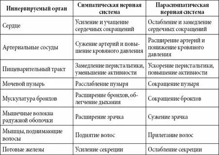 Соматическая нервная система и парасимпатическая
