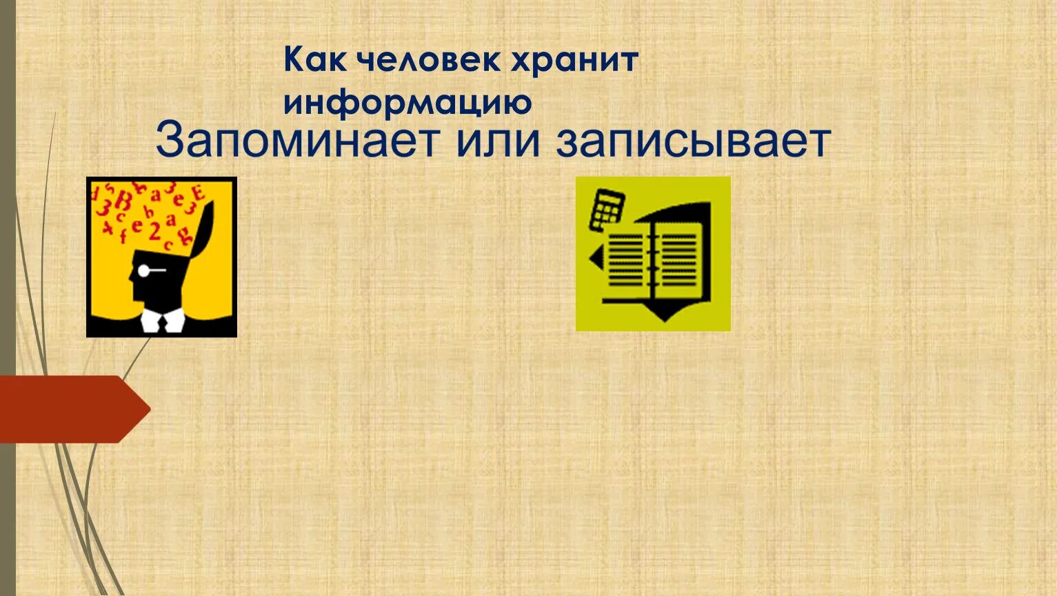 Человек хранит информацию. Для чего люди хранят информацию. Где хранится информация. Работа где человек хранит информацию. Информация может быть сохранена и