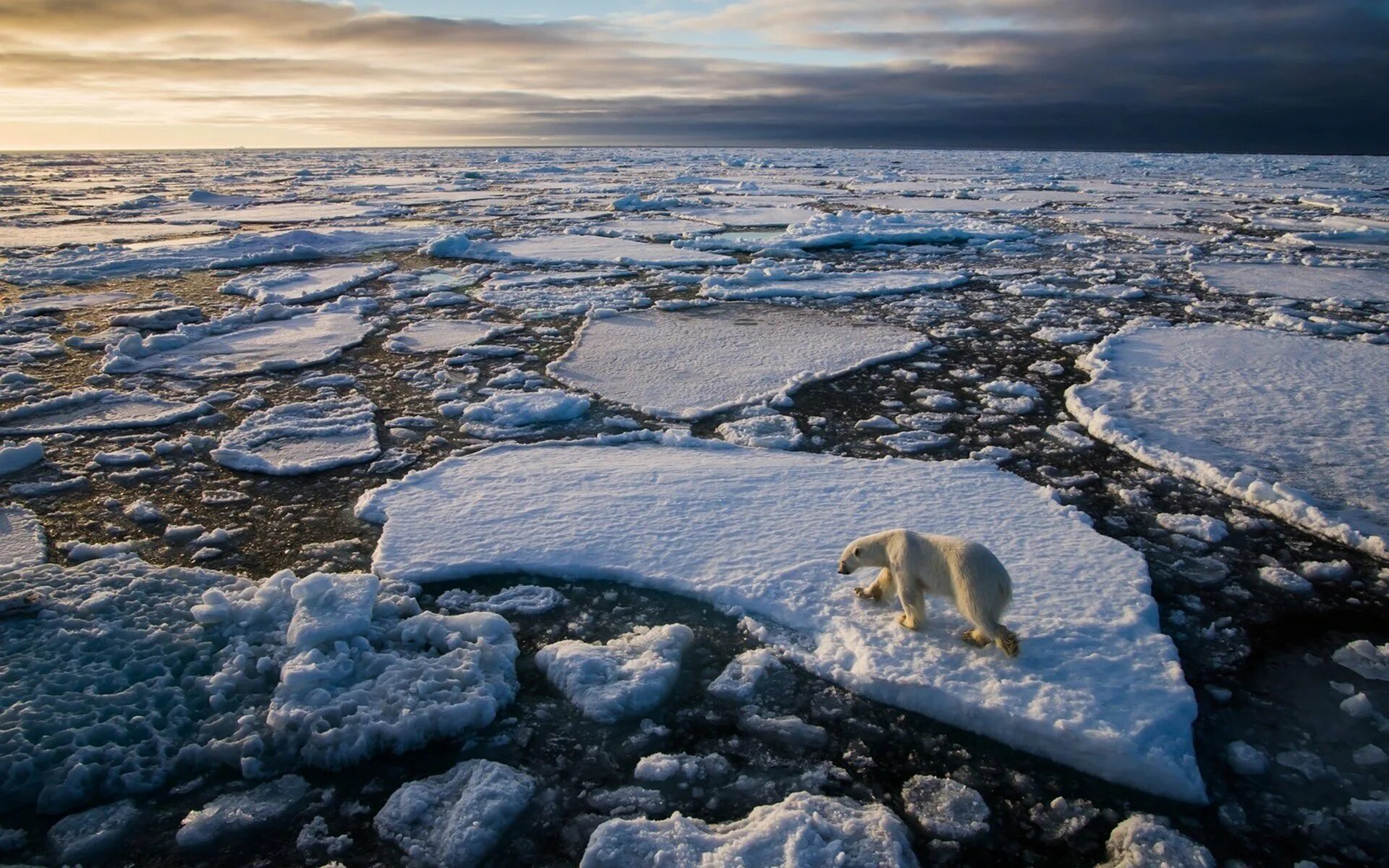 Океаны восточной европы. Карское море и северно Ледовитый океан. Арктика Северный Ледовитый океан. Северный Ледовитый океан Восточно-Сибирское море. Северный Ледовитый океан полюс.