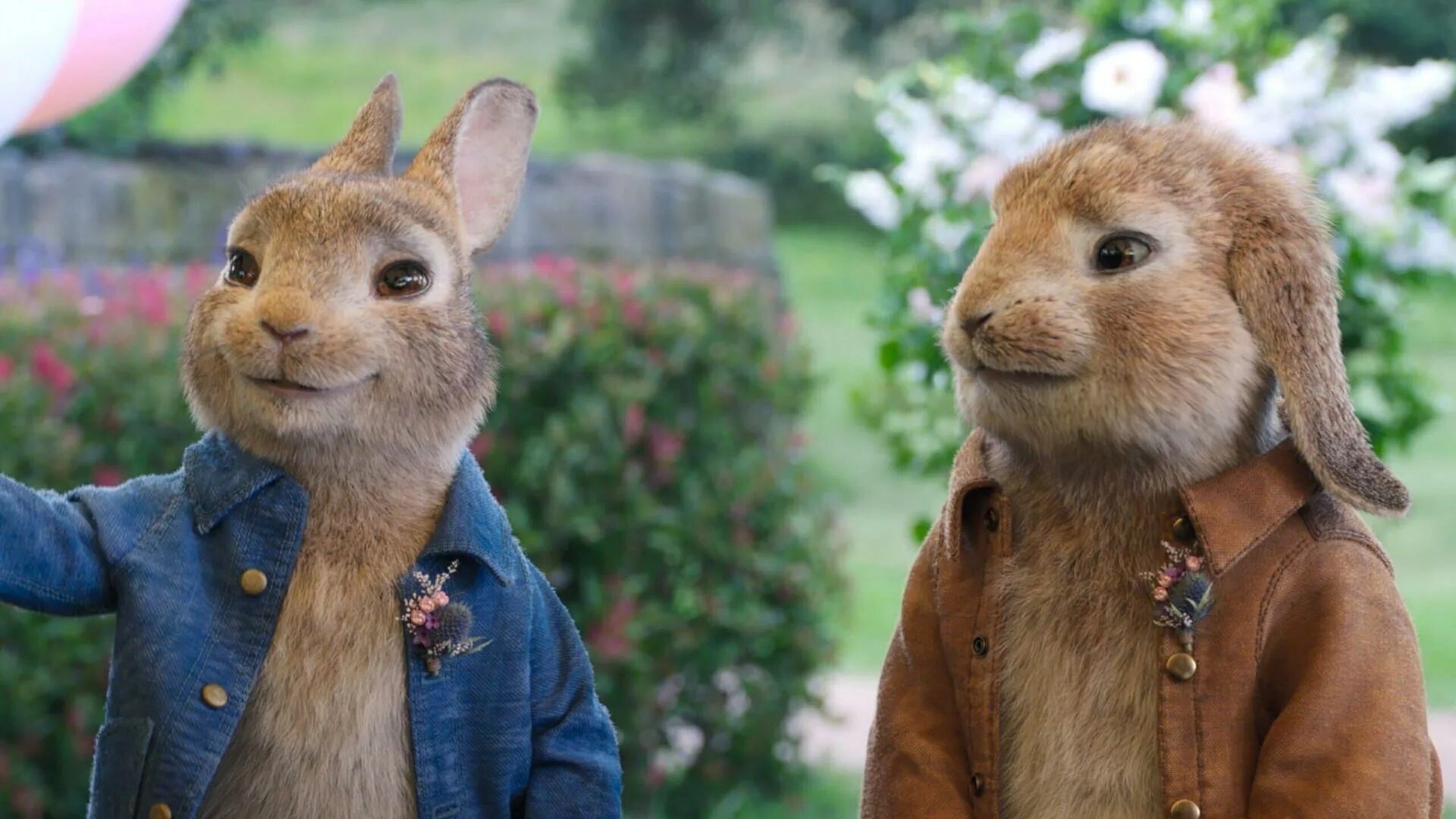 Бывший король победил кролика героя. Кролик Питер (2018) Peter Rabbit.