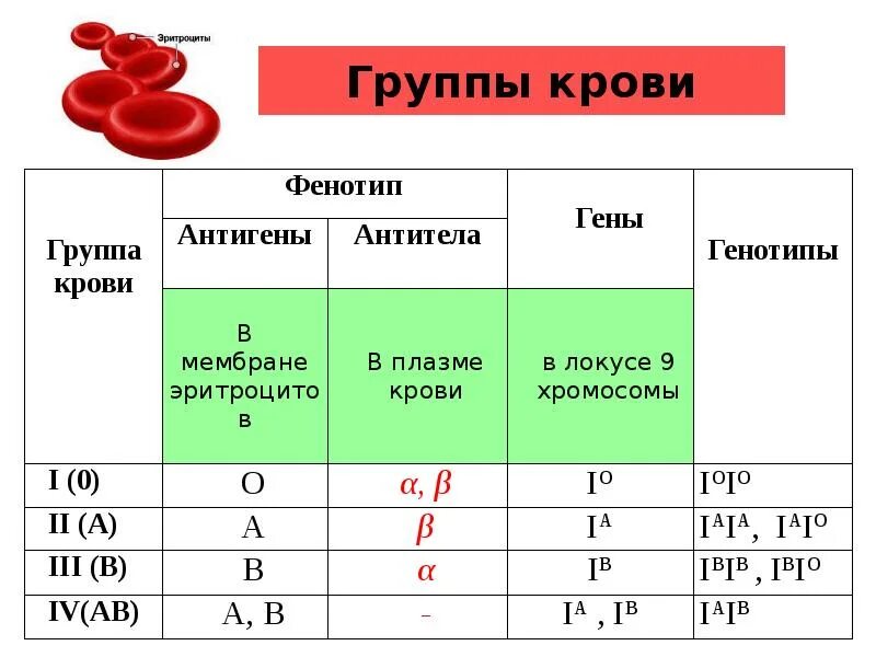 Фенотипирование по системе резус. Генотипы людей с i (0) группой крови. Группы крови таблица антигены антитела. Группы крови таблица ab0. Наследование групп крови у человека по системе ав0..