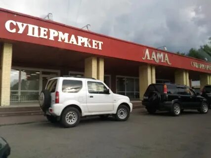 Лама томск