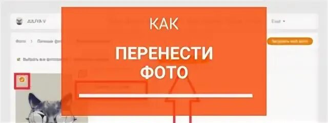 Как перенести фото в галерею