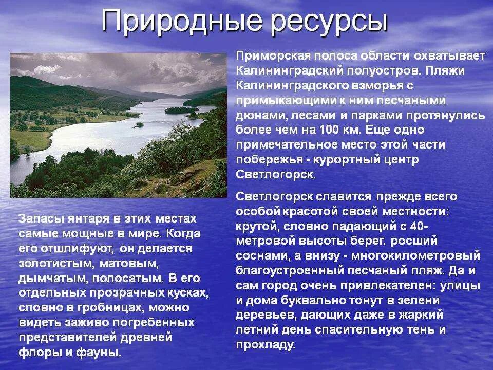 Природные ресурсы Приморья. Природные ресурсы Приморского края. Природные ресурсы Приморского края таблица. Природные богатства Приморского края. Какие природные богатства есть краснодарском крае