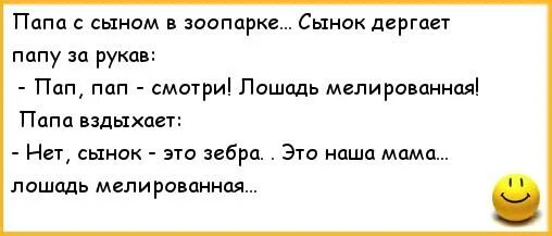 Анекдот зоопарк отец и сын. Злой папа шутка. Анекдот про папу и флешку. Анекдот про маму маму сына и зоопарк. Пап пап победа песня